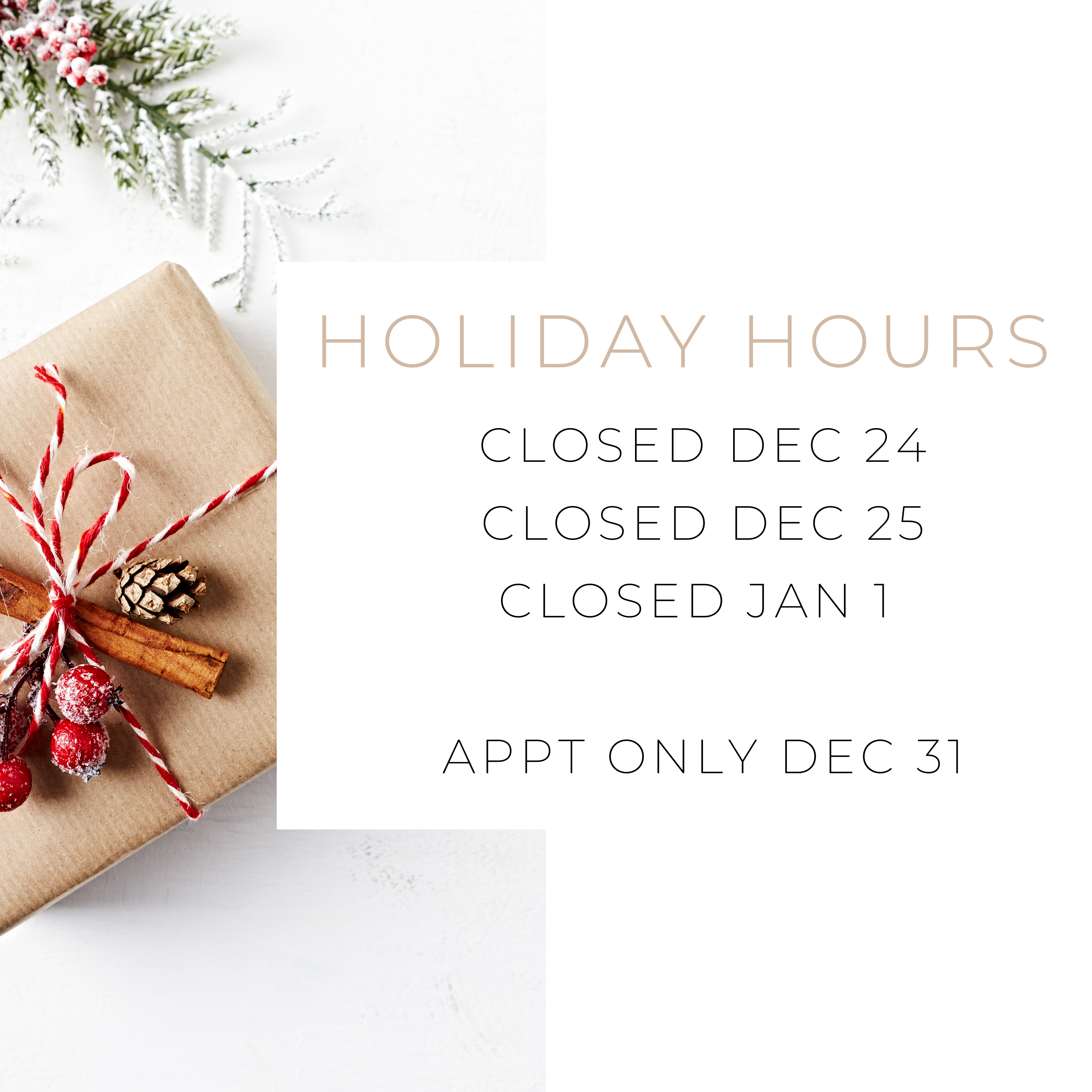 2020 Holiday Hours. Desktop Image