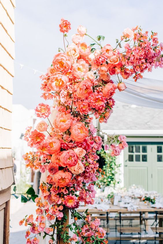 coral wedding arch.jpg