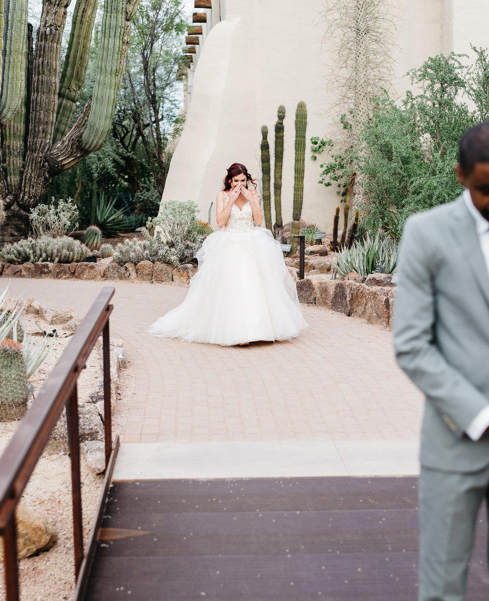 Our Brilliant Bride Jennifer | Desert Botanical Garden. Desktop Image