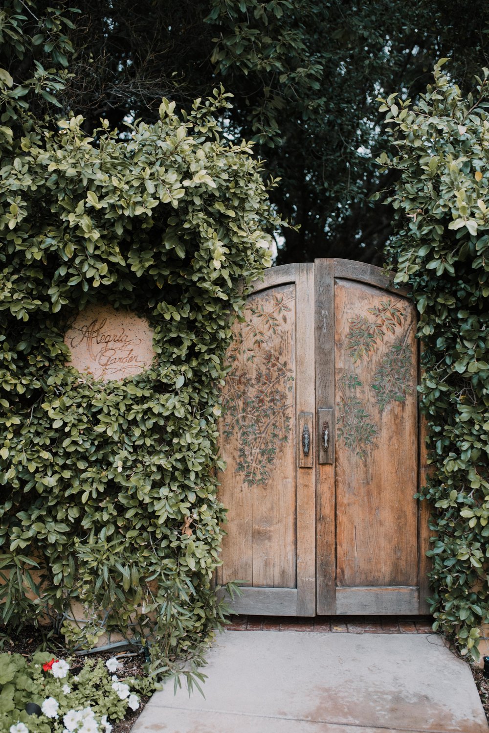 AlyssaRyanPhotography-1.jpg