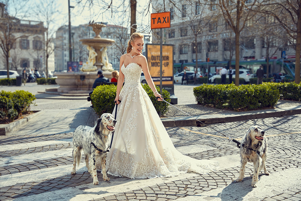 Eddy K MD251 Diamond White // Retail Price $1432 | Our Price $1002