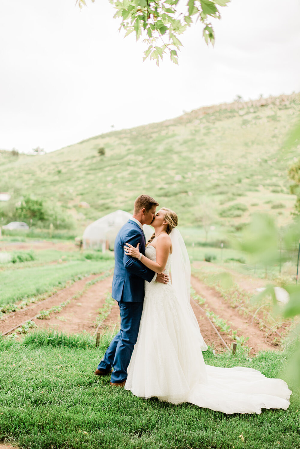 Our Brilliant Bride Tiffany | The Lyons Farmette. Desktop Image
