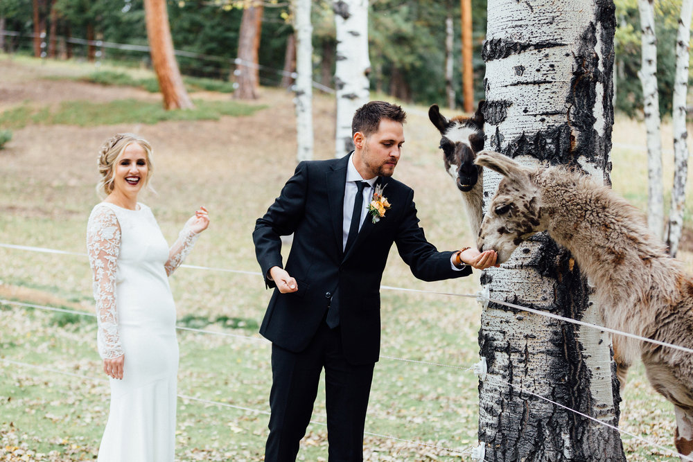 outdoor fall wedding