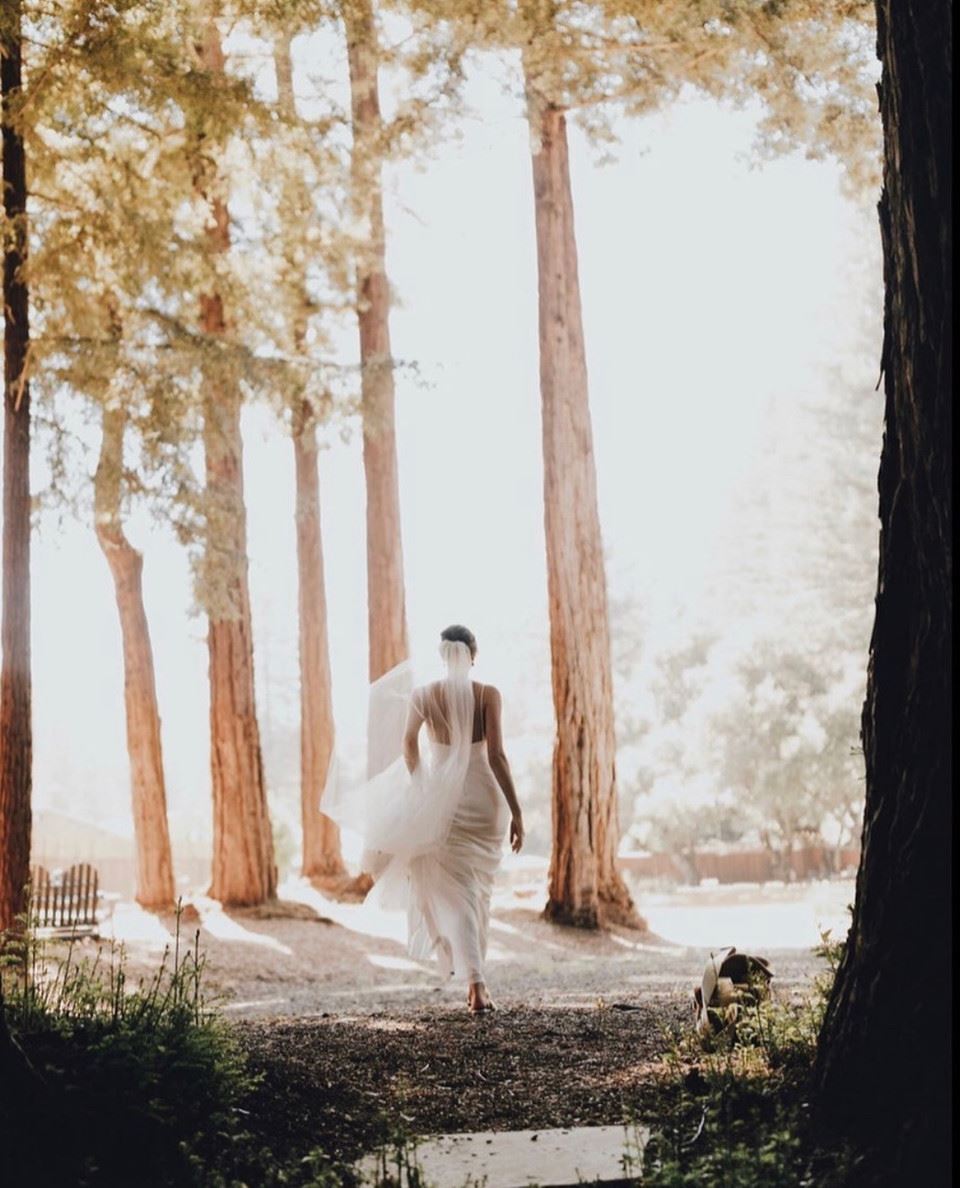 Take an Adventure &amp; ELOPE. Desktop Image